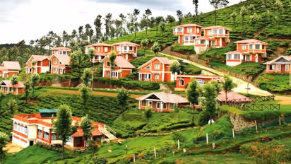 ഊട്ടിപ്പട്ടണം വീണ്ടും തുറന്നു, സഞ്ചാരികള്‍ ഒഴുകുന്നു, പടക്കം പൊട്ടിച്ച് കച്ചവടക്കാര്‍!