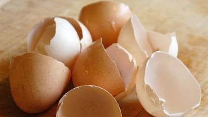 எதுக்குமே தேவைப்படாது என்று தூக்கிப்போடும் முட்டை ஓட்டில் கூட இவ்வளவு நன்மைகள் இருக்கு...