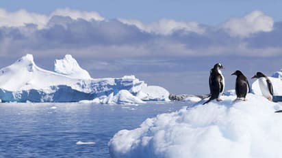 দ্রুত গতিতে গলছে হিমবাহ, জলস্তর বৃদ্ধির ফলে বিপদসীমায় এশিয়ার বেশিরভাগ অঞ্চল জানাচ্ছে সমীক্ষা