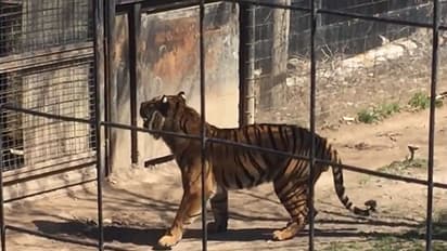 ദക്ഷിണേഷ്യയിലെ ഏറ്റവും വലിയ മൃഗശാല രണ്ടുവര്ഷത്തിനകം തൃശൂരില്