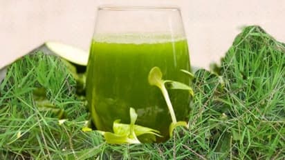 ஆரோக்கியத்தை அள்ளித் தரும் அருகம்புல்லின் மருத்துவப் பயன்கள்…