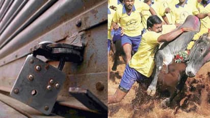 ஜல்லிக்கட்டு நடத்தக்கோரி புதுச்சோியில் முழு அடைப்பு பாேராட்டம்!