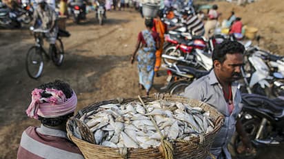 Sushma Swaraj to meet aggrieved fishermen from Tamil Nadu