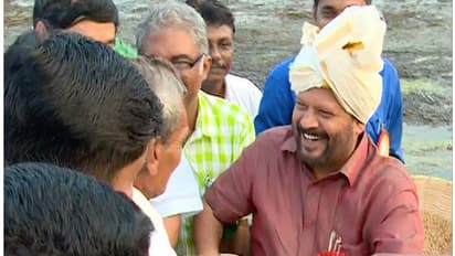 മെത്രാൻ കായലിൽ വീണ്ടും വിത്തിറക്കി