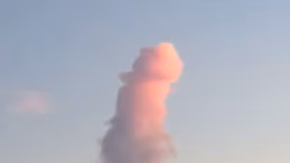 Nature sends its regards in the form of a d*ck pic