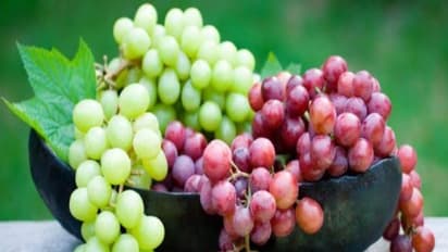 திராட்சையை உண்பதால் உங்களுக்கு கிடைக்கும் அதி அற்புத நன்மைகள்…