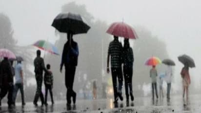 സംസ്ഥാനത്ത് കനത്ത മഴയ്ക്ക് സാധ്യത; അഞ്ചിടത്ത് യെല്ലോ അലേർട്ട്