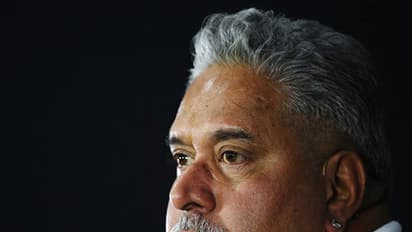 ನೀರವ್, ಮಲ್ಯ ಗಡಿಪಾರಿಗೆ ಬ್ರಿಟನ್ ಸಜ್ಜು?