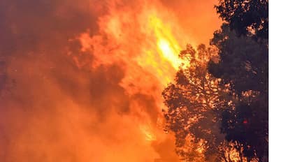 ಕೊಡಗಿನ ಆನೇಕಾಡಲ್ಲಿ 4 ದಿನವಾದರೂ ನಿಯಂತ್ರಣಕ್ಕೆ ಬಾರದ ಕಾಳ್ಗಿಚ್ಚು