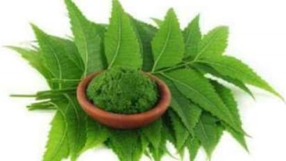 பயிர் பாதுகாப்பில் வேம்பின் முக்கியத்துவம் பற்றி தெரிந்து கொள்ளலாமா?