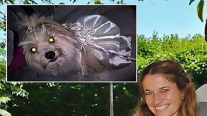 ಮದುವೆ ದಿನ ಪರಾರಿಯಾದ ಪ್ರಿಯಕರ: ನಾಯಿಯೊಂದಿಗೇ ಹಸೆಮಣೆ ಏರಿದ ಮದುಮಗಳು!