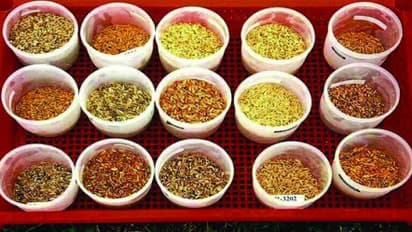 உங்களுக்குத் தெரியுமா? கார் அரிசி சாப்பிட்டால் சருமம் மென்மையடையும்…