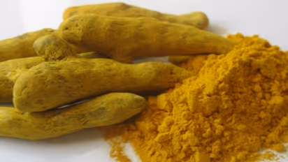 மஞ்சளில் பல வகைகள் இருந்தாலும் அதில் சிறந்தது கஸ்தூரி மஞ்சள். ஏன்?