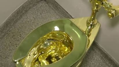 ಮ್ಯೂಸಿಯಂನಲ್ಲಿ ಚಿನ್ನದ ಟಾಯ್ಲೆಟ್‌!