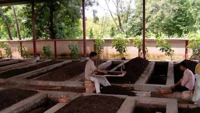 மண்புழு உர சேமிப்பு முறையும் அதன் நன்மைகளும் இதோ...