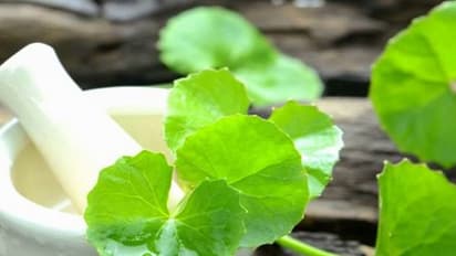 ಜ್ಞಾಪಕ ಹೆಚ್ಚಿಸೋ ಮನೆಮದ್ದುಗಳಿವು....