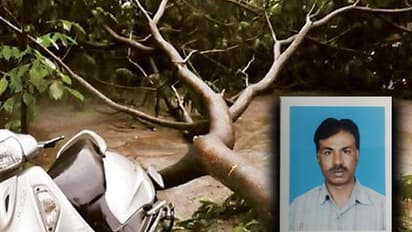 BBMP needs a reminder on Rs 1 lakh promised to treefall victim last year