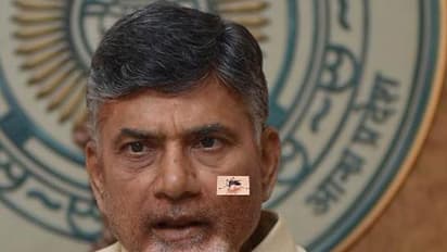 దోమలపై దండయాత్ర చట్టమేది?