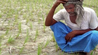 "5 ஏக்கருக்கு மேல் நிலம் வைத்திருப்பவர்கள் கடன் ரத்துக்கு தடை" - உச்சநீதிமன்றம் அதிரடி உத்தரவு!