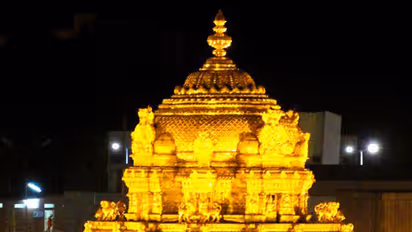 అది నిజమే, చిక్కులొచ్చాయని రమణదీక్షితులు మాట్లాడుతున్నారు