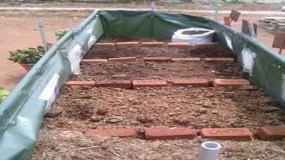 மண்புழு உரம் தயாரிக்க இத்தனை படிகள் இருக்கு; அவசியம் தெரிந்து கொண்டு பயனடையவும்...