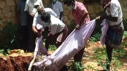 சொத்துக்காக மாமியாரை கொன்று புதைத்த மருமகன் - போலீஸ் அதிரடி நடவடிக்கை...