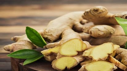 உங்களுக்குத் தெரியுமா? இஞ்சிக்கு ஞாபக சக்தியை அதிகரிக்கும் சக்தி அதிகம்...