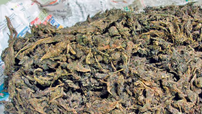 കഞ്ചാവ് നല്‍കിയില്ല, കൊല്ലത്ത് വയോധികയെ യുവാക്കൾ വെട്ടിപ്പരിക്കേൽപ്പിച്ചു; വീടും അടിച്ചുതക‍ര്‍ത്തു