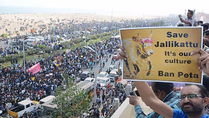 Tamil Nadu ministers committed to hold Jallikattu