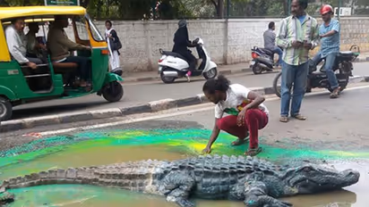 At Rs 100 per pothole, BBMP plans to make Bengalureans rich?
