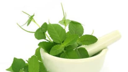 உங்களுக்குத் தெரியுமா? வயிற்றில் உள்ள புண்களை ஆற்றும் சக்தி துளசிக்கு உண்டு....