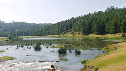 International day of forests: Nilgiris river gets a new lease of life