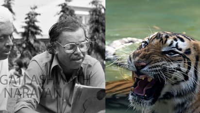 When tigers, lions 'snored' on Puttanna Kanagal’s movie set