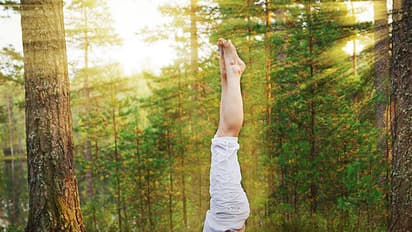 Sarvangasana Benefits : ಬೆನ್ನು ನೋವಿನ ಸಮಸ್ಯೆಗೆ ಸರ್ವಾಂಗಾಸನ ಬೆಸ್ಟ್