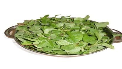 அரைக்கீரையின் அற்புத குணங்கள் இதோ…