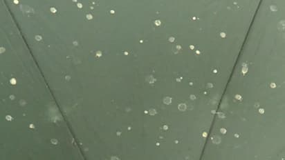 'Yellow rain' reported from Kunjithanni in Kerala