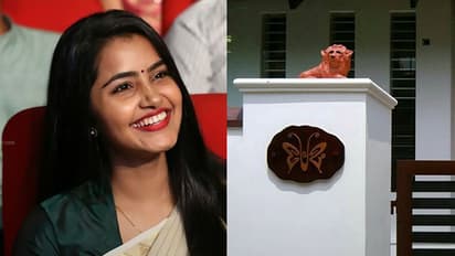 2 years of Premam: Anupama pays tribute by naming her home after film