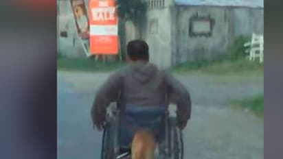 വീൽചെയറിലെ യജമാനന് തുണയായി വളർത്തുനായ: വീഡിയോ കാണാം