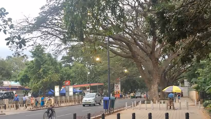 St Marks Road in Bengaluru, Tender SURE hailed for successful design by global group