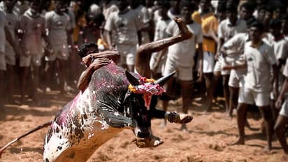 ಜಲ್ಲಿಕಟ್ಟಿಗಾಗಿ ತಮಿಳುನಾಡಿನಾದ್ಯಂತ ಭಾರಿ ಪ್ರತಿಭಟನೆ : ಕ್ರೀಡೆಗೆ ಆರ್'ಎಸ್ಎಸ್ ಬೆಂಬಲ