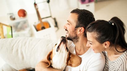 3 easy ways to get rid of pet odours from your home