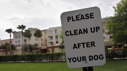 'Scoop your dog's poop': Bengaluru implements citywide clean-up rules to pet owners
