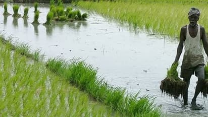 GST வரிக்குள் வருகிறது விவசாயம் - 18 சதவீதம் வரை வரிவிதிக்கப்பட வாய்ப்பு?