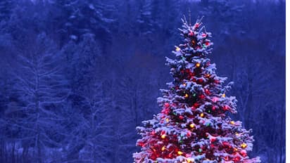 കുവൈറ്റില് ക്രിസ്മസ് മുന്നൊരുക്കങ്ങള് അവസാനഘട്ടത്തില്