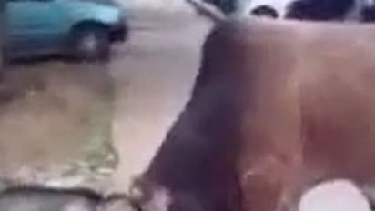 సవాలంటే...సవాల్ (వీడియో)