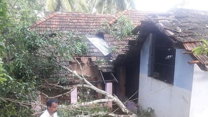 കാറ്റ്; അമ്പതോളം വീടുകള്ക്ക് നാശനഷ്ടം