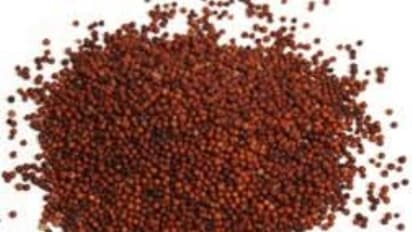 உங்களுக்குத் தெரியுமா? கேழ்வரகை பச்சையாக பயன்படுத்தினால் இரத்த அழுத்தத்தை கட்டுப்பாட்டில் வைக்கலாம்..