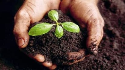 இந்த இயற்கை உரத் தொழில்நுட்பத்தை பயன்படுத்தி மண் வளத்தை மேம்படுத்தலாம்…