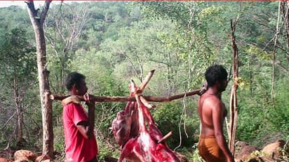 ಮಲೆಮಹದೇಶ್ವರ ಬೆಟ್ಟದಲ್ಲಿ ಮರಿವೀರಪ್ಪನ್'ಗಳ ಕಾಟ: ಬಂದೂಕು ಹಿಡಿದೇ ಕಾಡಿಗೆ ನುಗ್ಗುತ್ತಾರೆ