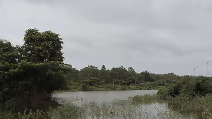 Thanks to Bengaluru authorities, land sharks are 'legally' selling dying lakes